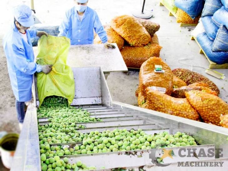 Fruit Scraping Belt Conveyor